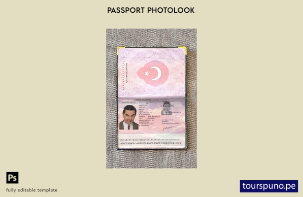 listo para imprimir plantilla de aspecto de foto ANTIGUA del pasaporte de Turquí